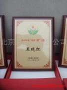 北京京藝鑫廣告公司 專業(yè)廣告發(fā)布，產(chǎn)品相冊(cè)圖片打造卓越視覺體驗(yàn)